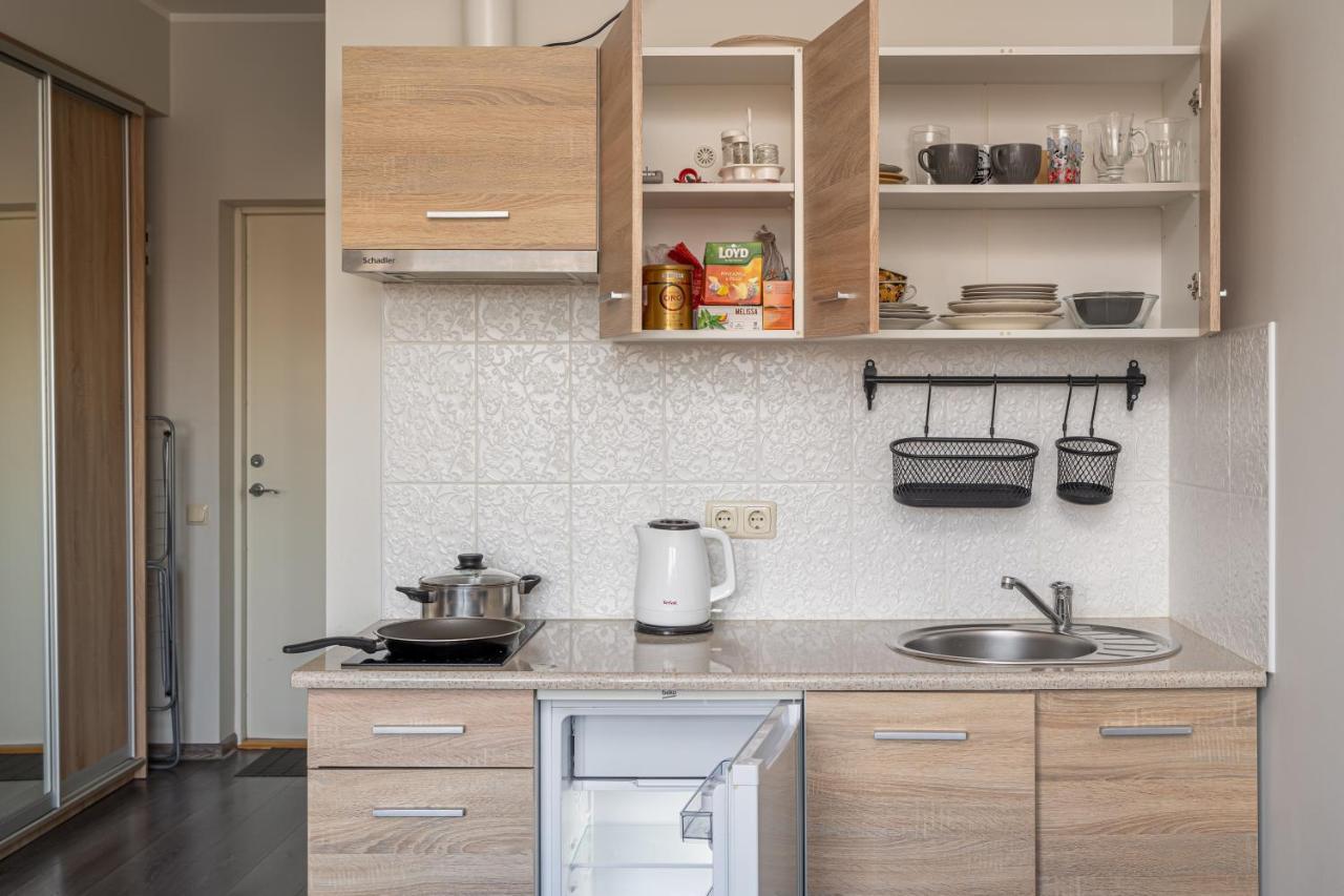 Grizinkalns Residence With Free Parking リガ エクステリア 写真